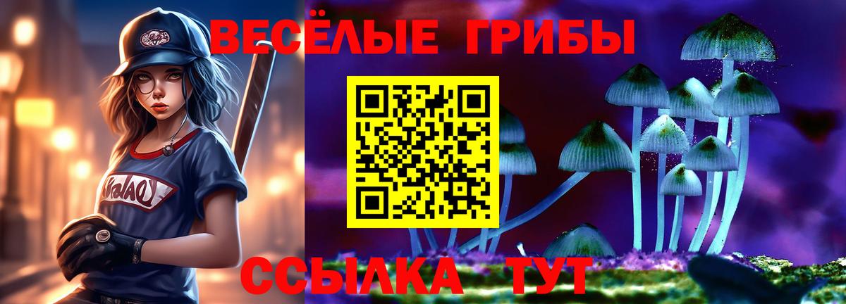 Солнечногорск  Псилоцибиновые грибы ЛСД  Вход с VPN 